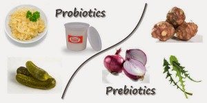 Probiotik Dan Prebiotik Asosiasi Pelatih Kebugaran Indonesia